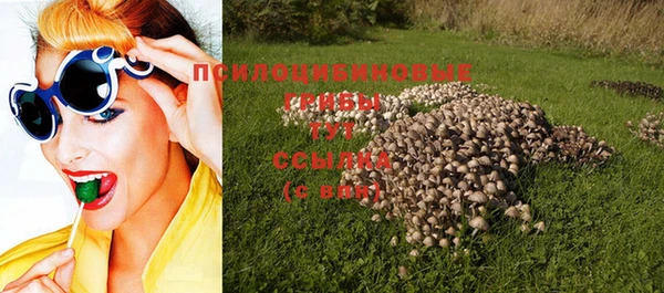 твердый Алзамай