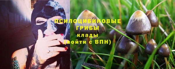 крисы Алексеевка