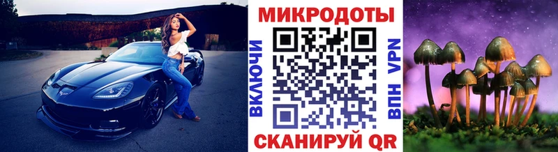 Галлюциногенные грибы Cubensis  купить наркотик  Межгорье 