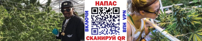 МАРИХУАНА ГИДРОПОН  Межгорье 
